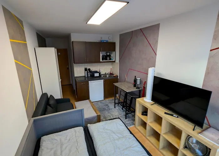 Entspannen In An Der Donau Inklusive Netflix Daire Passau