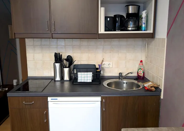 Entspannen In An Der Donau Inklusive Netflix Apartamento *